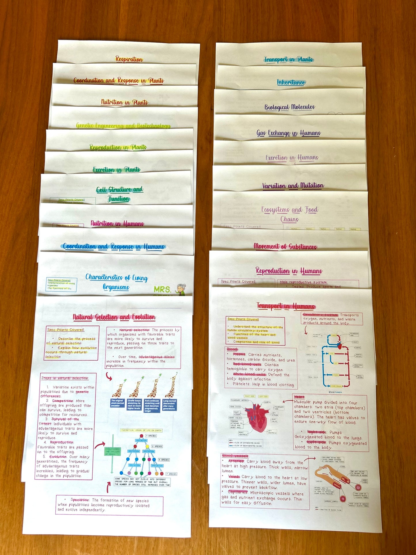 Biology GCSE Revision Notes
