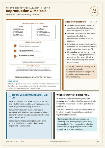 Biology GCSE Revision Guide [AQA] — PDF Download